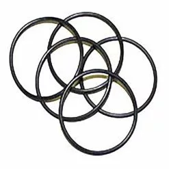 Joint Anti-poussière Pour Joints De Roulements De Moyeu Zipp (5 Unités)